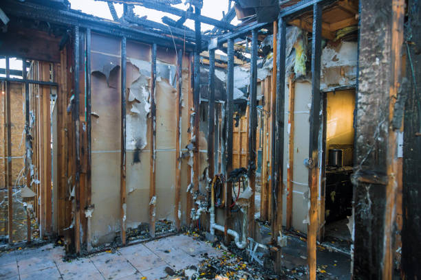 Professional Fire Damage Removal technician working in Muscoda, WI